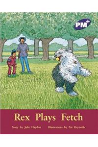 Rex Plays Fetch