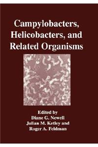 Campylobacters, Helicobacters, and Related Organisms