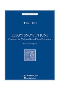 Elegy: Snow in June