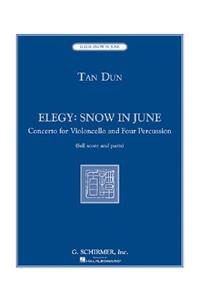 Elegy