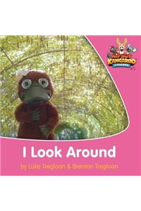 I Look Around (US English)