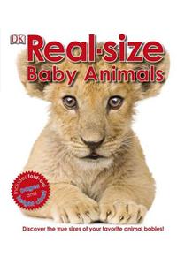 Real-size Baby Animals