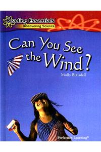 Can You See the Wind?