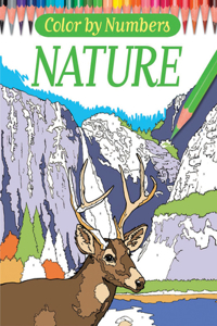 Color by Numbers - Nature