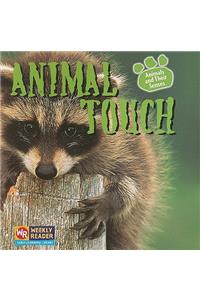 Animal Touch