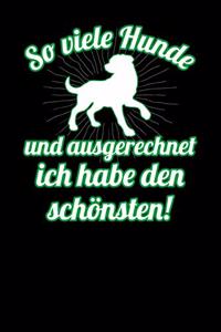 So viele Hunde und ausgerechnet ich habe den schönsten!