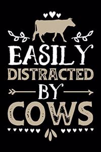 Easily Distracted By Cows
