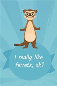 Thick Journal - Back To School Stationery Supplies - Ferret toys and accessories, ferret gifts