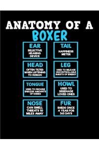 Anatomy of a Boxer