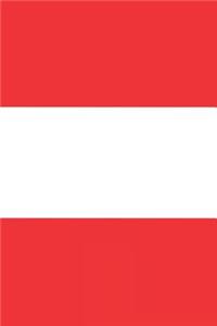 Peruvian Flag Diary