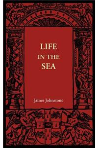 Life in the Sea