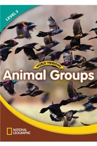 World Windows 3 (Science): Animal Groups