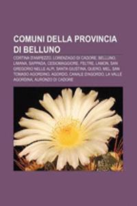 Comuni Della Provincia Di Belluno