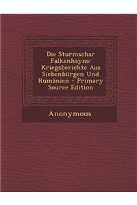 Die Sturmschar Falkenhayns: Kriegsberichte Aus Siebenburgen Und Rumanien - Primary Source Edition