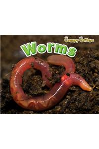 Worms