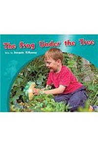 The Frog Under the Tree