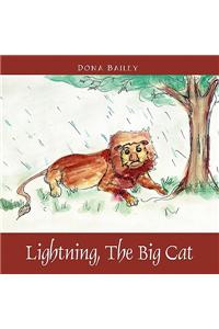Lightning, the Big Cat