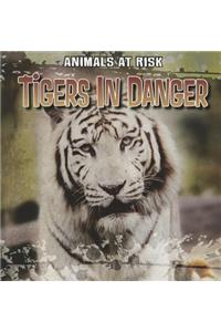 Tigers in Danger