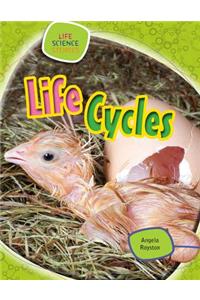 Life Cycles