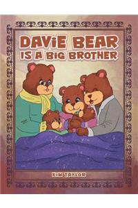 Davie Bear Is a Big Brother