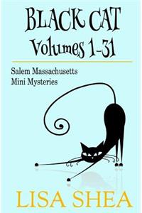 Black Cat Vols. 1-31 - The Salem Massachusetts Mini Mysteries