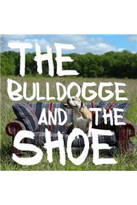 The Bulldogge and the Shoe