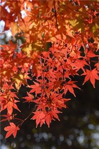 A Cascade of Autumn Leaves Journal