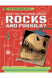 What Do You Know about Rocks and Fossils?