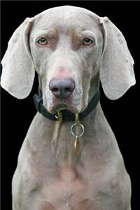 Dog Portrait Journal