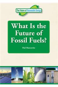 What Is the Future of Fossil Fuels?