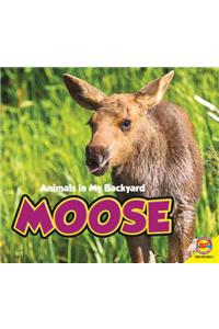 Moose