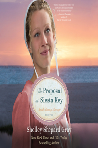 Proposal at Siesta Key