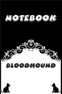 Bloodhound Notebook