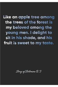 Song of Solomon 2