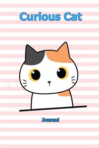 Curious Cat