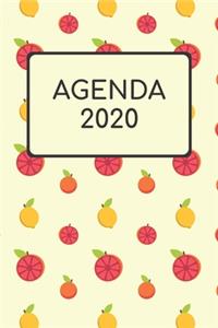 Agenda 2020: Agenda Settimanale 2020 I 1 Gennaio 2020 Al 31 Dicembre 2020 I Agenda Settimanale e Mensile I Organizer & Diario