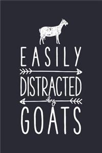 Easily Distracted by Goats