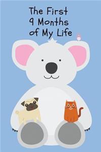 The First 9 Months of My Life