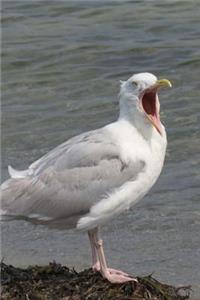 Larus Argentatus aka Herring Gull Journal