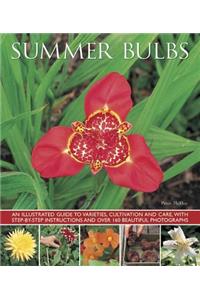 Summer Bulbs