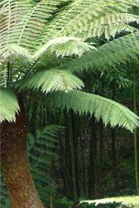 Ferns Notebook