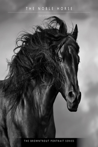 Horse, the Noble, the Browntrout Portrait Series 2024 Square