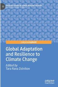 Global Adaptation and Resilience to Climate Change
