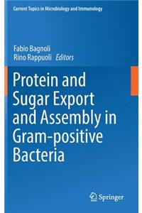 Protein and Sugar Export and Assembly in Gram-Positive Bacteria