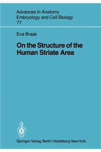 On the Structure of the Human Striate Area