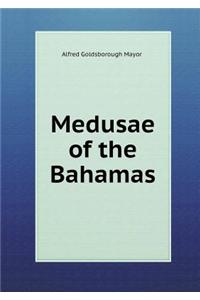 Medusae of the Bahamas