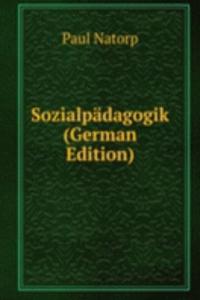 Sozialpadagogik (German Edition)