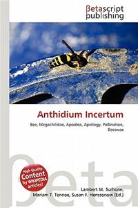 Anthidium Incertum
