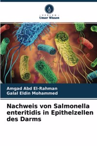 Nachweis von Salmonella enteritidis in Epithelzellen des Darms