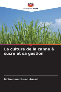 culture de la canne à sucre et sa gestion